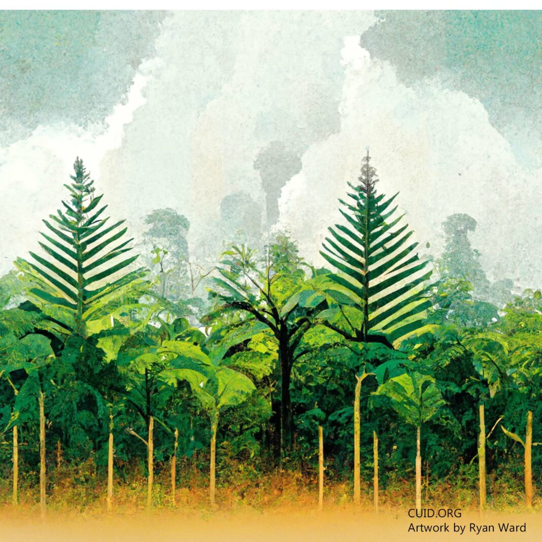Selling rainforest, protection, cambridge University, ryan ward
